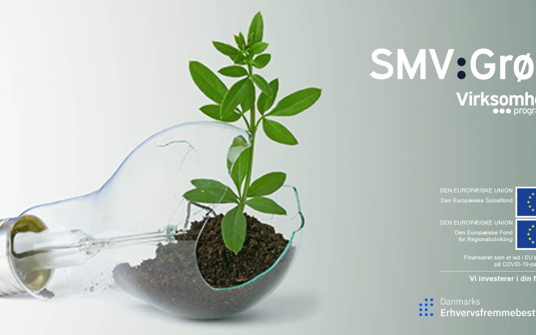 ALGIECEL gets SMV:grøn grant!