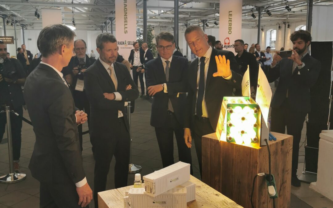 ALGIECEL Newsletter – A Status