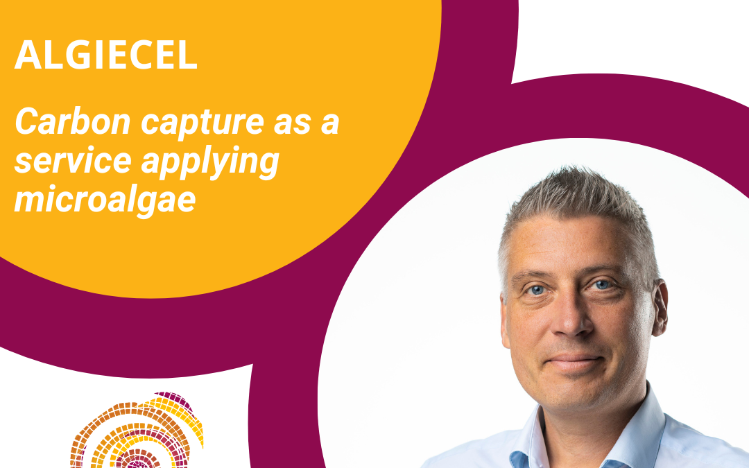 ALL ROADS LEAD TO ROME