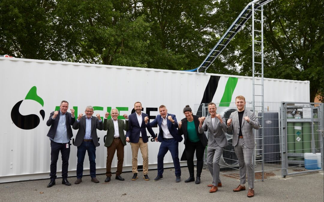 WIND IN THE ALGAE SECTOR´S SAIL: 23 ACTIONS FOR THE EU ALGAE SECTOR