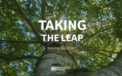 BIOINNOVATION INSTITUTE´S TAKING THE LEAP SERIES: ALGIECEL